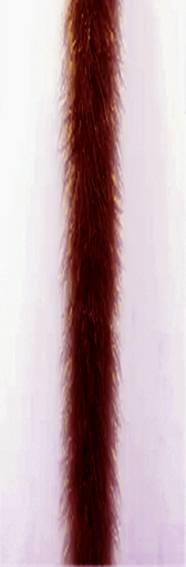 Marabu boa - #63 AUBERGINE